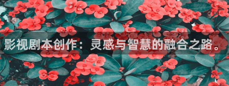 人免费超碰：影视剧本创作：灵感与智慧的融合之路。