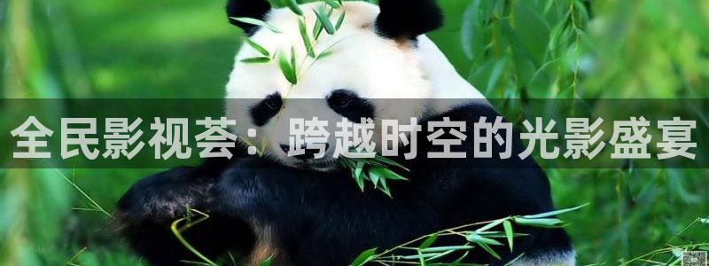 超碰在线大：全民影视荟：跨越时空的光影盛宴