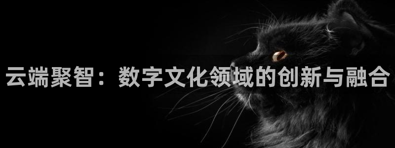 超碰手机免费在线：云端聚智：数字文化领域的创新与融合