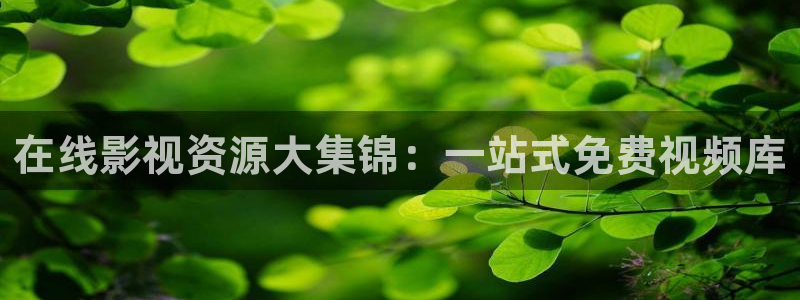 老司机超碰中文：在线影视资源大集锦：一站式免费视频库