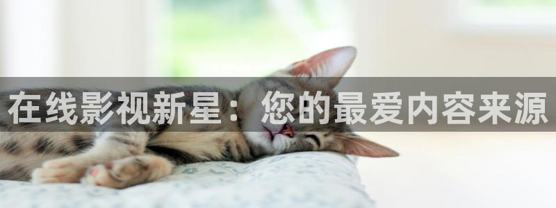 超碰吧：在线影视新星：您的最爱内容来源