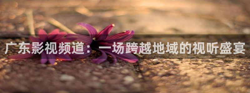 超碰在线观看网站